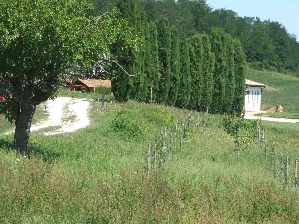 Casale Arcadia Ξενοδοχείο Ορβιέτο Εξωτερικό φωτογραφία
